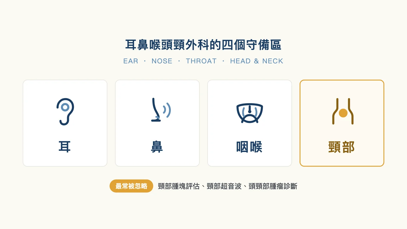 耳鼻喉頭頸外科的四個守備區：耳、鼻、咽喉與頸部，其中頸部涵蓋頸部腫塊評估、頸部超音波與頭頸部腫瘤診斷